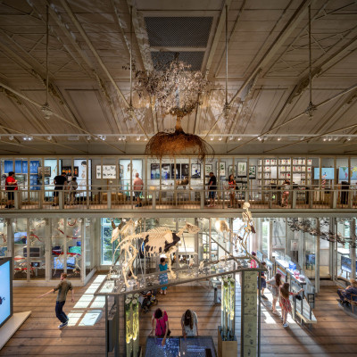 Groote Museum Amsterdam / Kossmanndejong