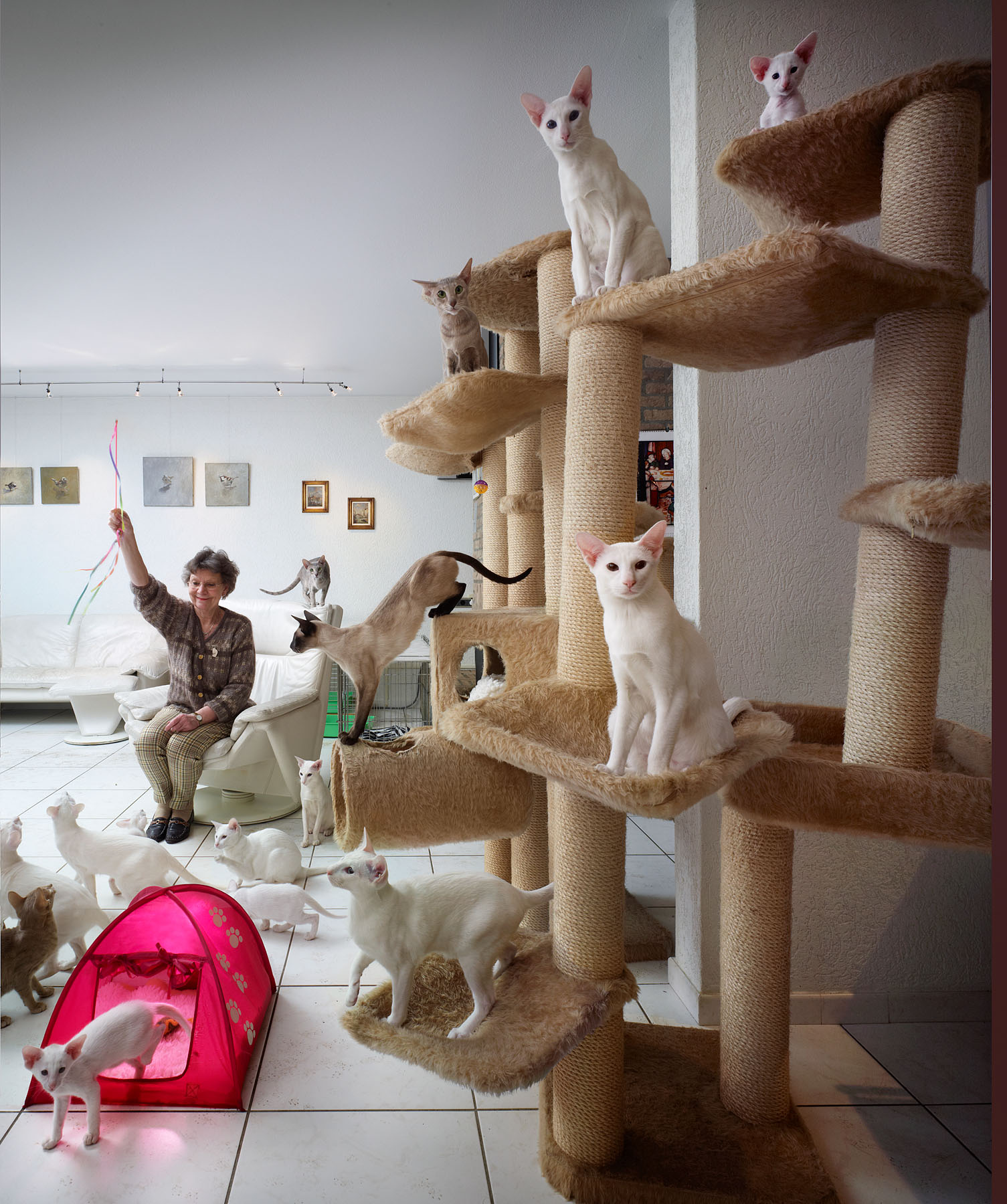 Kattenvrouwtjes. / LINDA magazine