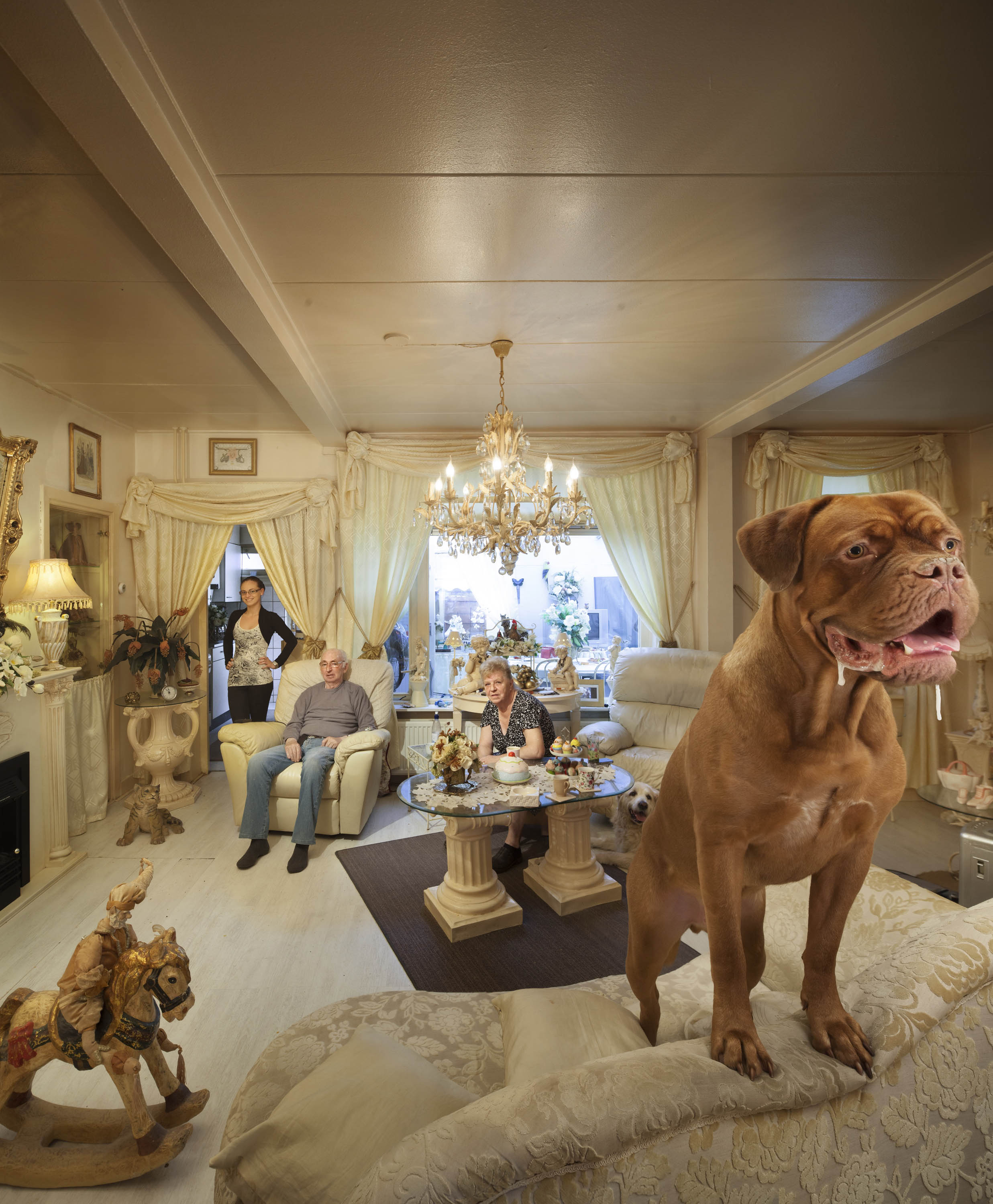 Retourtje Man Bijt Hond / NCRV
