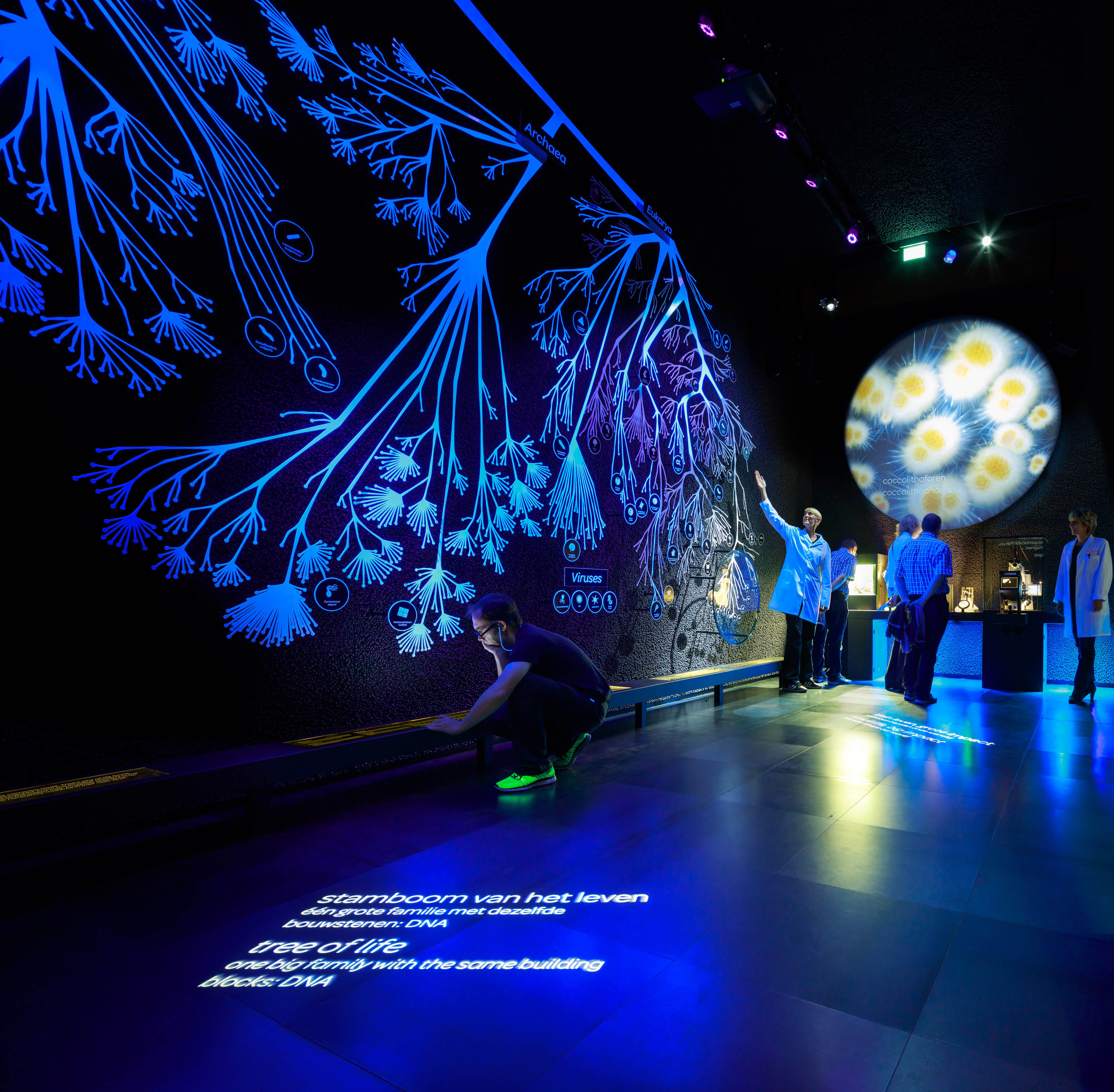 Micropia, Artis / Kossmanndejong