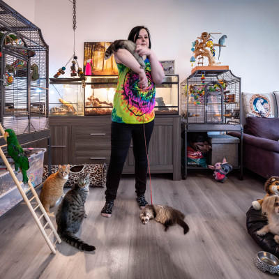 Een huis vol dieren. / LINDA.