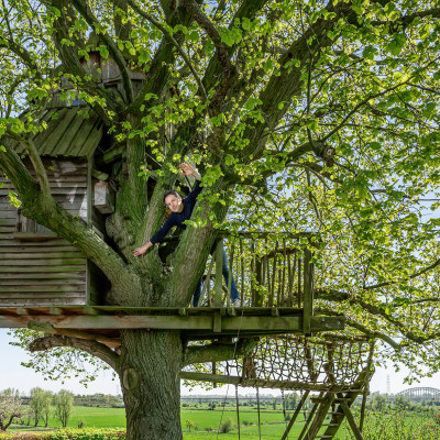 De boom in! / LINDA.